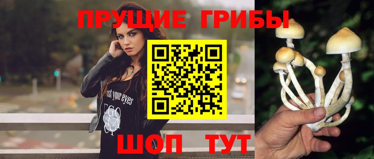 Ижевск  Галлюциногенные грибы MAGIC MUSHROOMS  Вход с VPN 